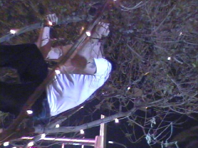 11:53pm - this guy fell out of the tree