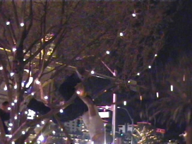11:53pm - this guy fell out of the tree