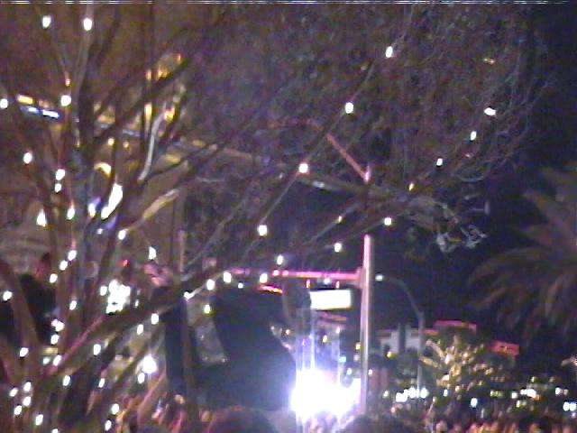 11:53pm - this guy fell out of the tree