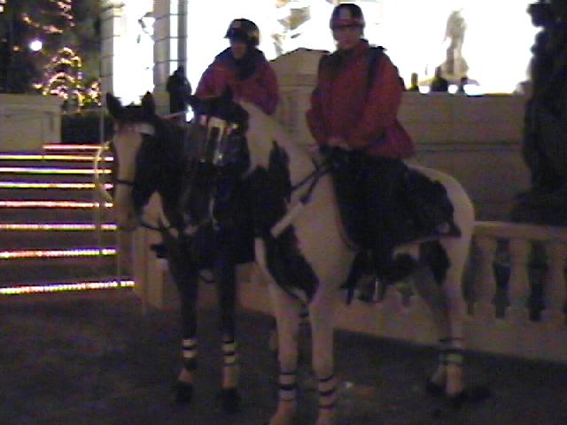 Mounted patrol in front of the Monte Carlo